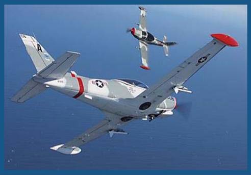 Fighter Pilot For a Day Adventure for (1) with 4-Night Stay and Airfare for (2)